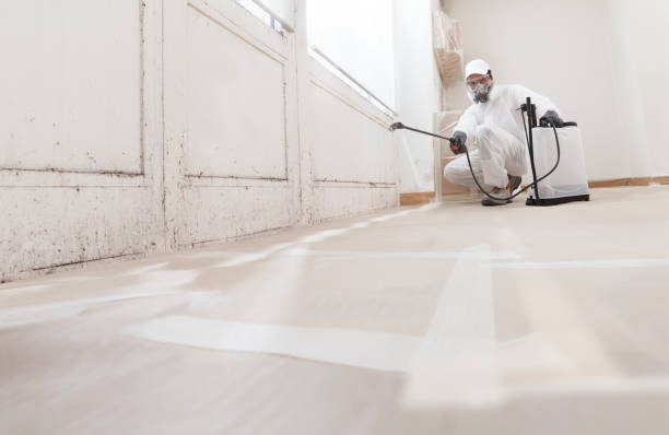 24/7 Emergency Commercial Mold Remediation experts in Camp Hill, PA