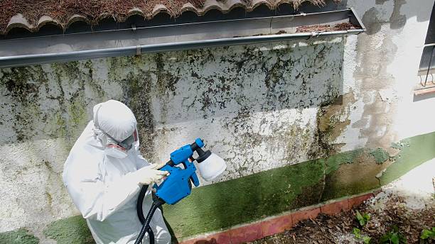 Top rated local Commercial Mold Remediation specialists in Camp Hill, PA